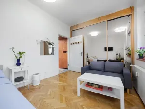 Pronájem bytu 1+1, Praha - Žižkov, Baranova, 49 m2