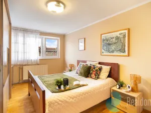 Prodej komerčního pozemku, Světlík, 304 m2