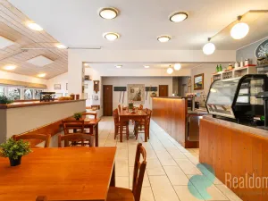 Prodej komerčního pozemku, Světlík, 304 m2