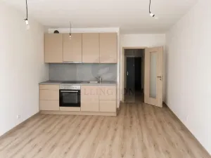 Prodej bytu 1+kk, Praha - Chodov, Měchnovská, 33 m2