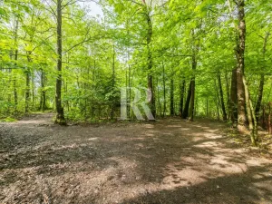 Prodej zahrady, Liberec, 1946 m2
