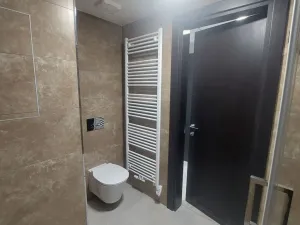 Pronájem bytu 1+kk, Olomouc, Třída Jiřího Pelikána, 35 m2