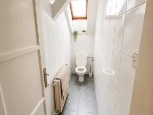 Pronájem atypického bytu, Praha - Nové Město, Trojanova, 254 m2