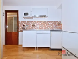 Pronájem bytu 1+kk, 25 m2