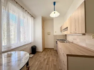 Prodej bytu 2+1, Tachov, Jana Sladkého Koziny, 50 m2