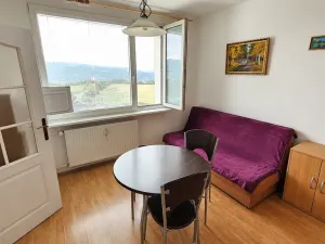 Prodej bytu 1+1, Ústí nad Labem - Severní Terasa, Kmochova, 34 m2