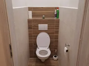 Pronájem bytu 3+kk, Vyškov - Křečkovice, 76 m2