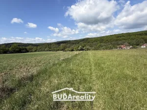 Prodej pole, Bojkovice, Luhačovická, 68000 m2
