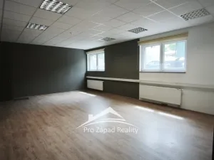 Pronájem obchodního prostoru, Plzeň, Poděbradova, 242 m2