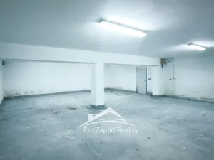 Pronájem obchodního prostoru, Plzeň, Poděbradova, 242 m2