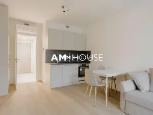 Pronájem bytu 1+kk, Praha - Žižkov, Šrámkové, 36 m2