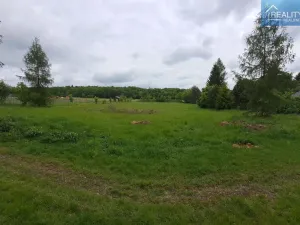 Prodej rodinného domu, Konice - Křemenec, 280 m2