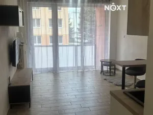 Pronájem bytu 1+kk, Nová Včelnice, Na Hliněnce, 25 m2