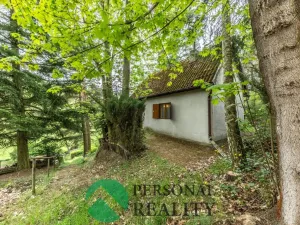 Prodej chaty, Družec, 90 m2