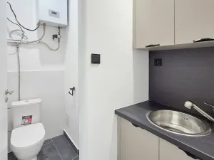 Pronájem obchodního prostoru, Praha - Josefov, Břehová, 54 m2