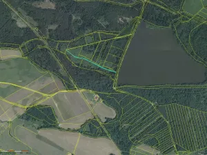 Prodej louky, Petříkov - Těšínov, 1557 m2