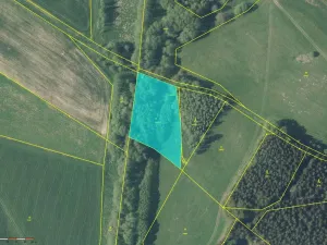 Prodej louky, Broumov - Rožmitál, 4529 m2