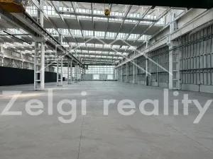 Prodej výrobních prostor, Veselí nad Moravou, 5700 m2