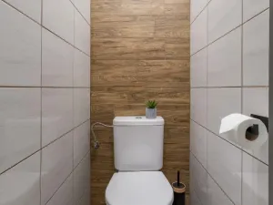 Prodej bytu 2+1, Ostrava - Hrabůvka, Provaznická, 50 m2