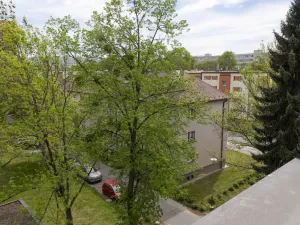 Prodej bytu 2+1, Ostrava - Hrabůvka, Provaznická, 50 m2