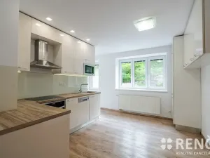 Pronájem bytu 2+kk, Brno, Pod Horkou, 44 m2