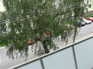 Pronájem bytu 2+1, Třebíč, 58 m2