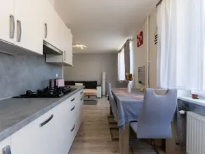 Prodej bytu 2+kk, Most, Petra Jilemnického, 53 m2