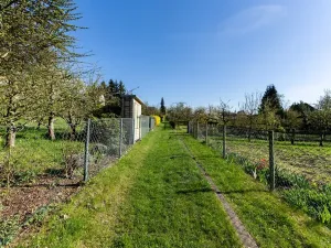Prodej chaty, Kostomlaty pod Milešovkou, Lhenická, 47 m2