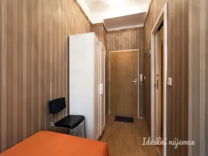 Pronájem bytu 1+kk, Praha - Žižkov, Cimburkova, 10 m2