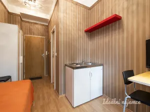 Pronájem bytu 1+kk, Praha - Žižkov, Cimburkova, 10 m2