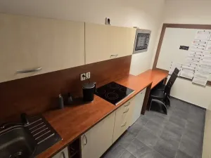 Pronájem obchodního prostoru, Olomouc, Kafkova, 237 m2