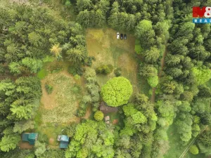 Prodej chalupy, Borová, 70 m2