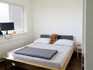 Pronájem bytu 2+kk, Brno, Rybářská, 39 m2
