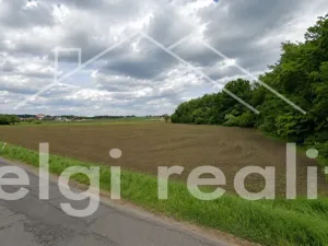 Prodej komerčního pozemku, Hrušovany nad Jevišovkou, Lidická, 14000 m2