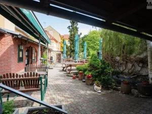 Prodej rodinného domu, Litvínov - Horní Litvínov, Studentská, 388 m2