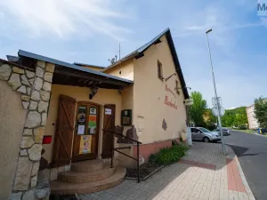 Prodej rodinného domu, Litvínov - Horní Litvínov, Studentská, 388 m2