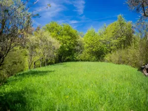 Prodej chaty, Lomnice, 28 m2
