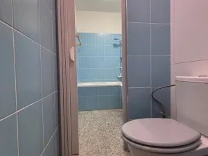 Prodej bytu 2+1, Tachov, Stadtrodská, 55 m2