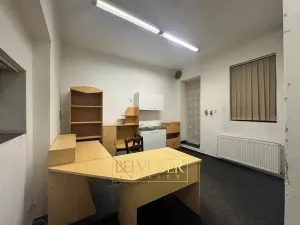 Pronájem obchodního prostoru, Teplice, Masarykova třída, 140 m2