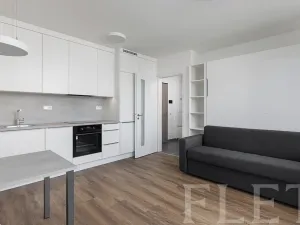 Pronájem bytu 1+kk, Praha - Kamýk, Hodkovická, 31 m2