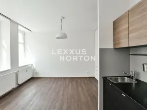 Pronájem bytu 1+kk, Praha - Vinohrady, Lucemburská, 30 m2