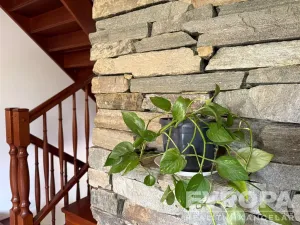 Prodej rodinného domu, Kunčice pod Ondřejníkem, 234 m2