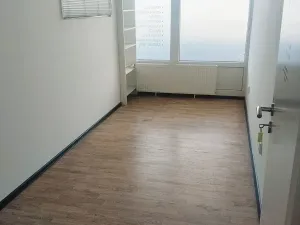 Pronájem obchodního prostoru, Brno, Palackého třída, 311 m2