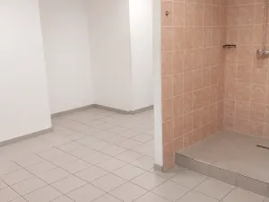 Pronájem obchodního prostoru, Brno, Palackého třída, 311 m2