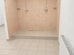 Pronájem obchodního prostoru, Brno, Palackého třída, 311 m2