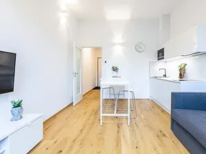 Pronájem bytu 1+kk, Praha, Na dračkách, 29 m2