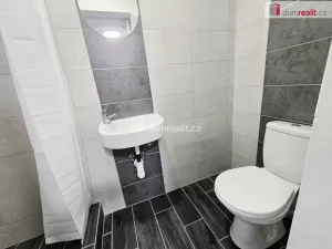 Pronájem bytu 1+kk, Lužná, Nová, 16 m2