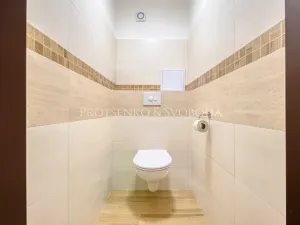 Prodej bytu 1+1, Kolín, U Borků, 58 m2