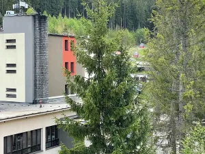 Prodej bytu 3+kk, Ružomberok, Slovensko, Hrabovská dolina, 61 m2