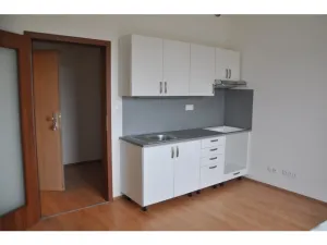 Pronájem bytu 2+kk, České Budějovice - České Budějovice 2, U Boru, 38 m2